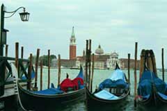 Gondolas in Venice; Size=240 pixels wide